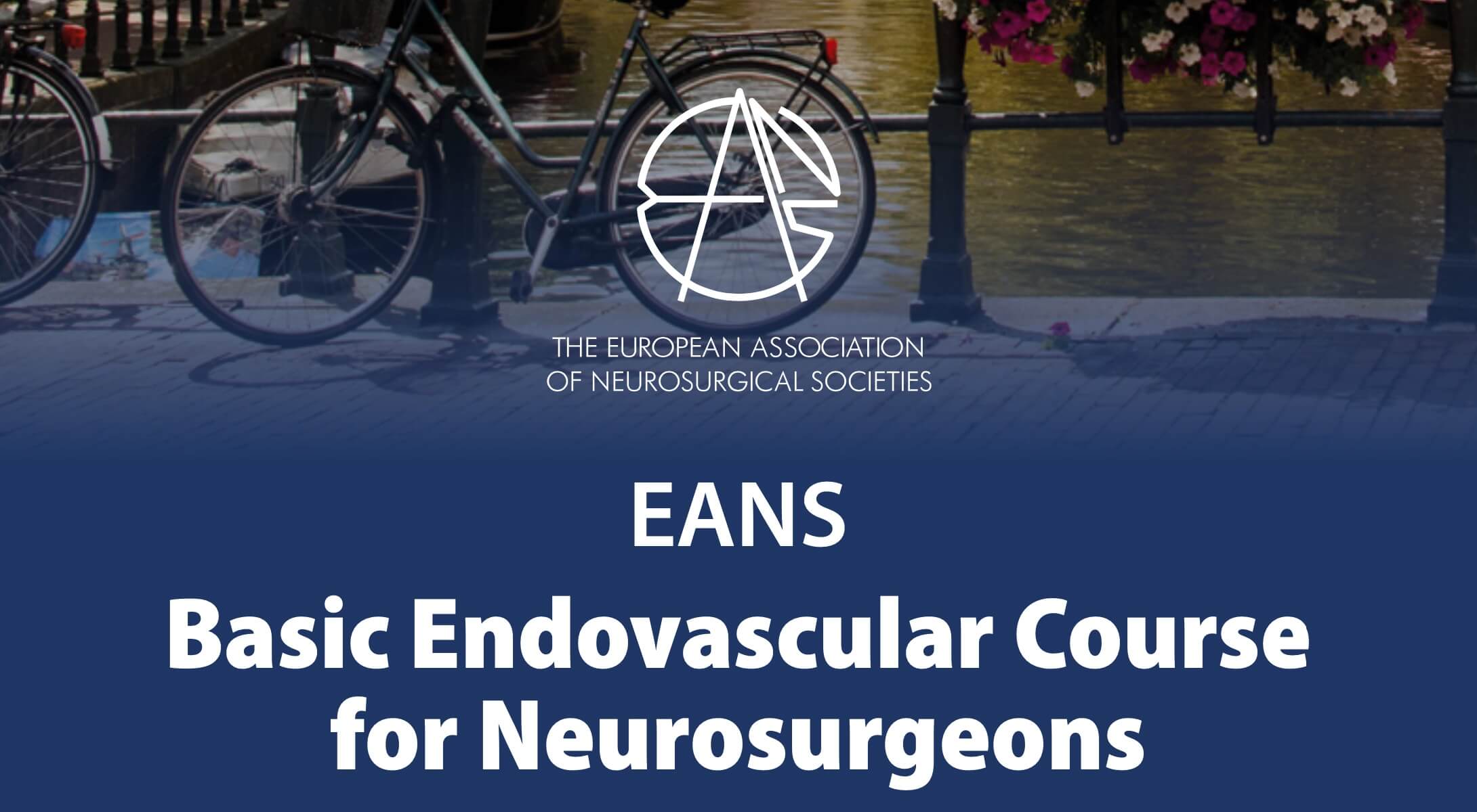 EANS Basic Endovascular Course 2023